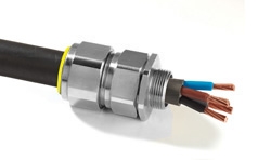 CMP CW Solo Cable Glands